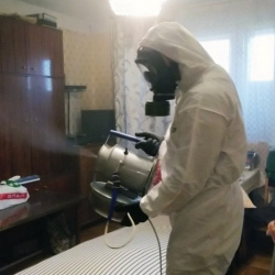 Дезинфекция от клопов в Нижневартовске
