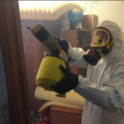 Уничтожение клопов в квартире. Нижневартовск